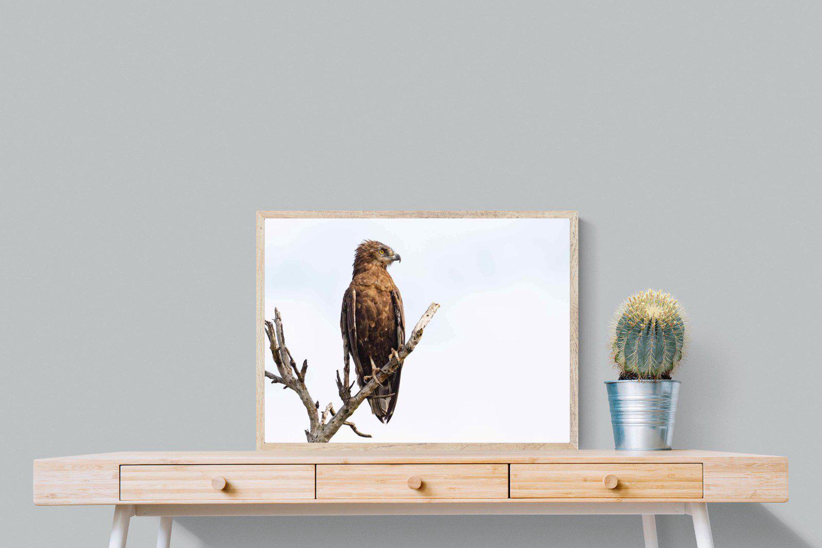 Perched-Wall_Art-80 x 60cm-Mounted Canvas-Wood-Pixalot