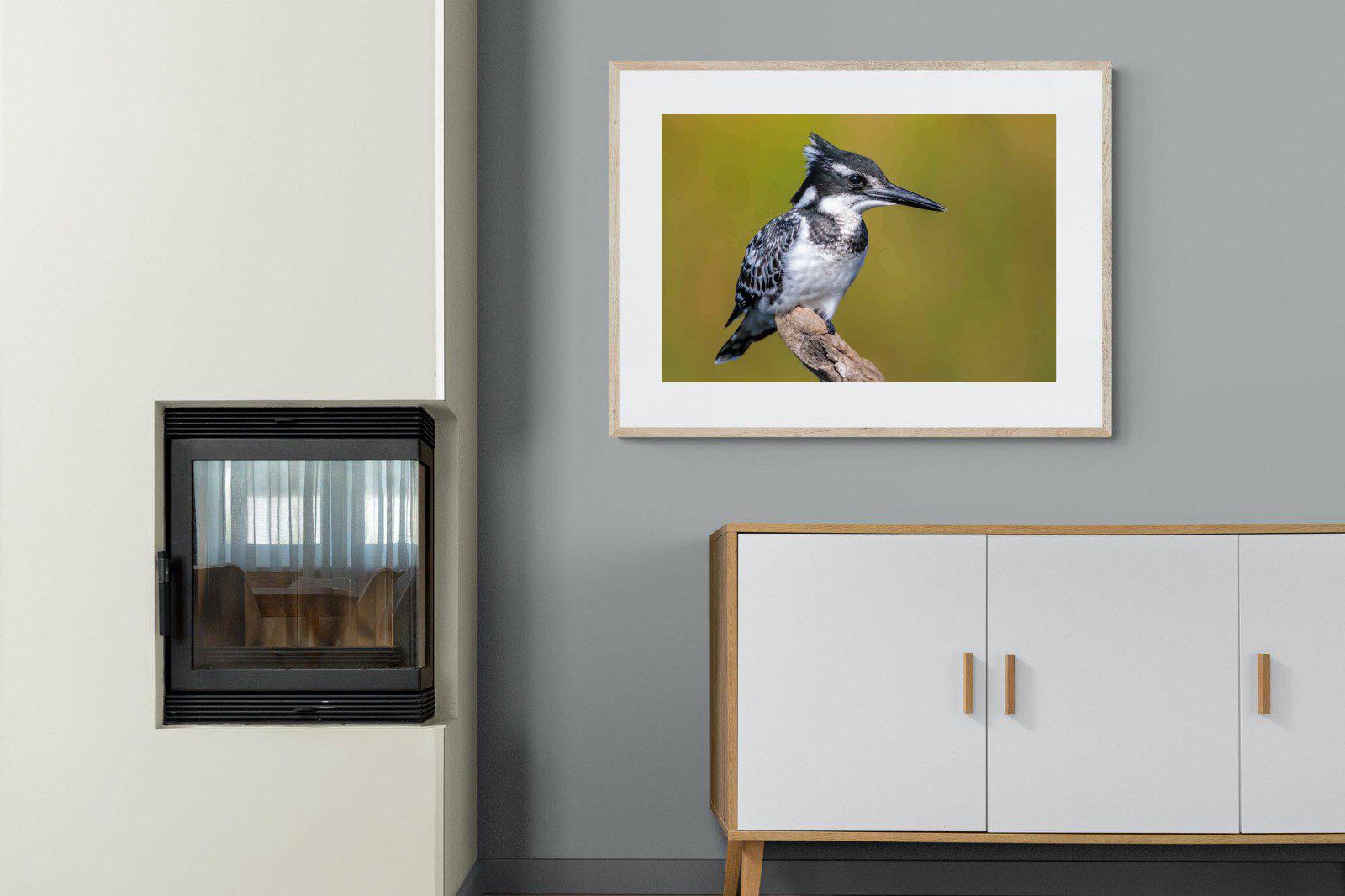 Pied Kingfisher-Wall_Art-100 x 75cm-Framed Print-Wood-Pixalot