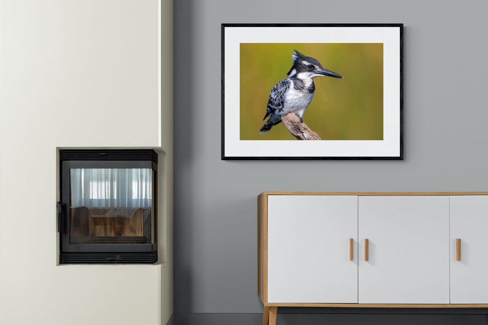 Pied Kingfisher-Wall_Art-100 x 75cm-Framed Print-Black-Pixalot