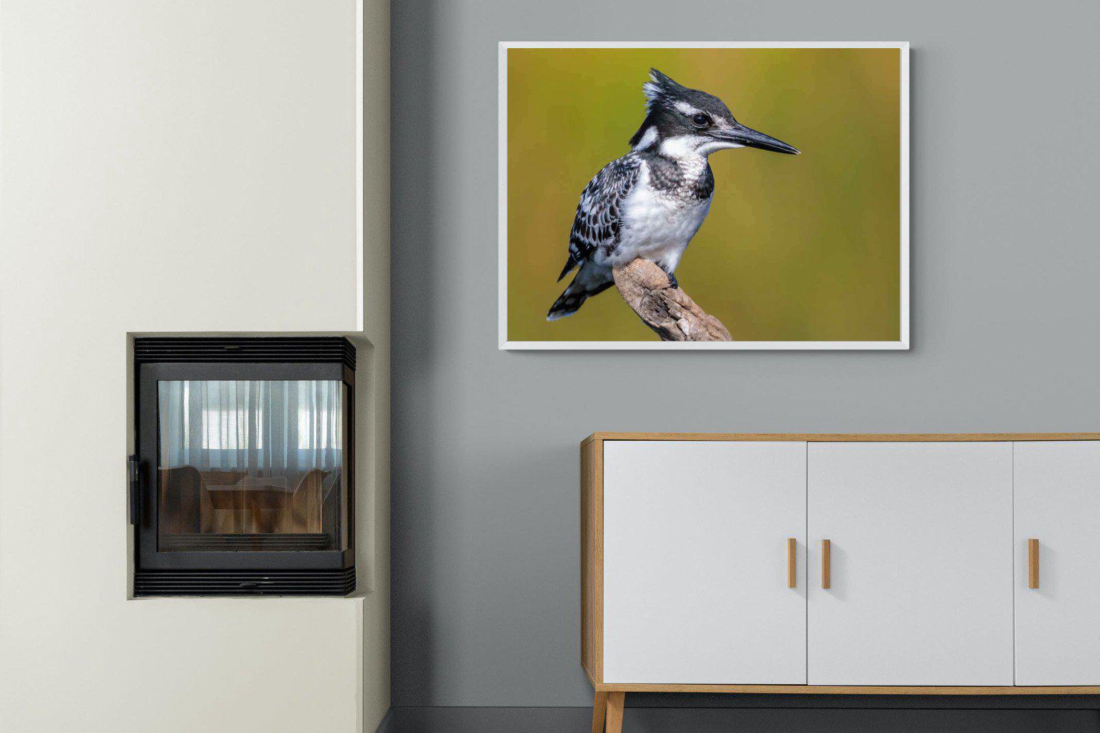 Pied Kingfisher-Wall_Art-100 x 75cm-Mounted Canvas-White-Pixalot