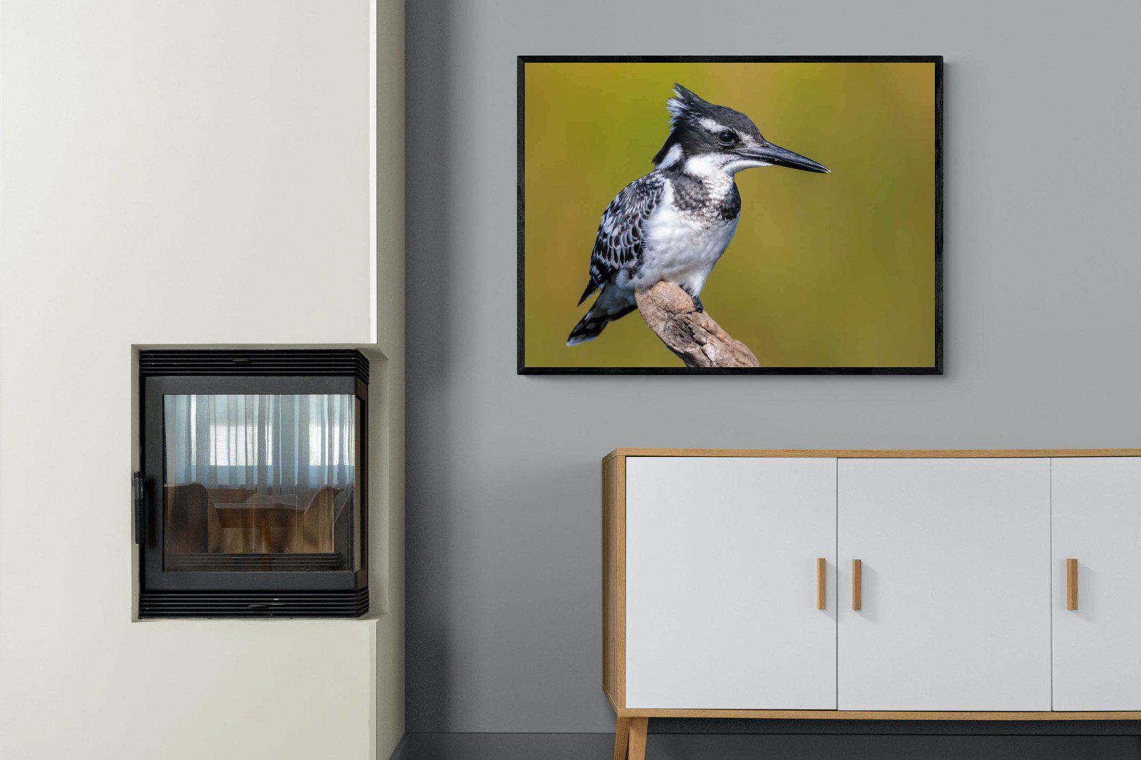 Pied Kingfisher-Wall_Art-100 x 75cm-Mounted Canvas-Black-Pixalot