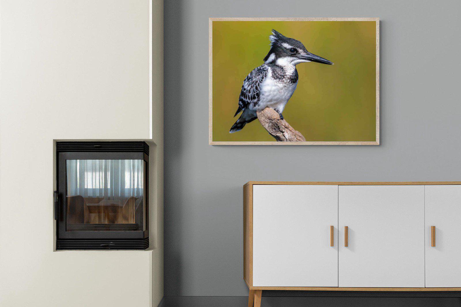 Pied Kingfisher-Wall_Art-100 x 75cm-Mounted Canvas-Wood-Pixalot