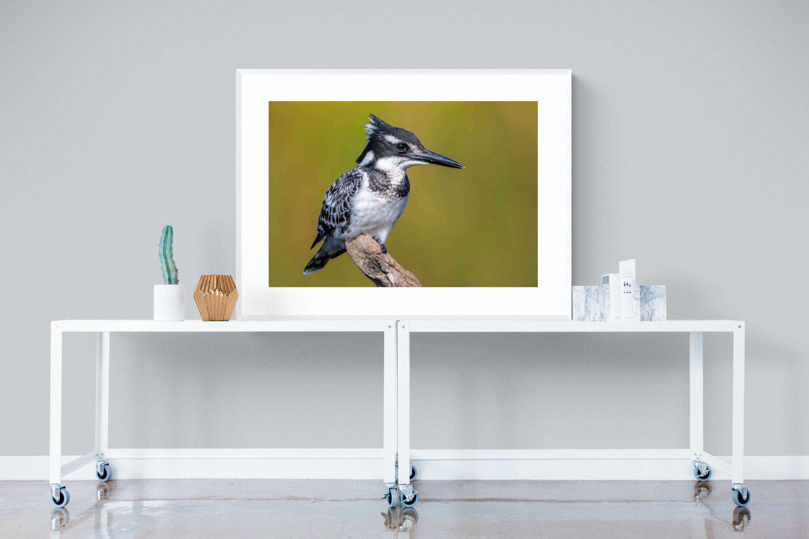 Pied Kingfisher-Wall_Art-120 x 90cm-Framed Print-White-Pixalot