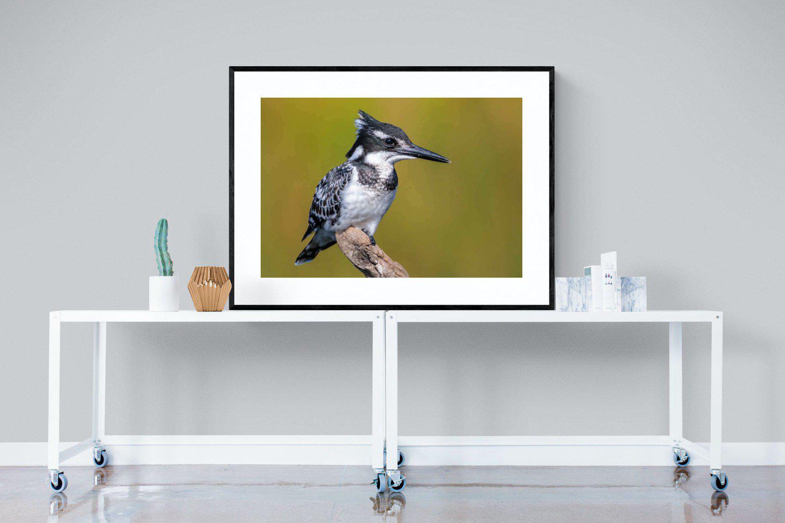 Pied Kingfisher-Wall_Art-120 x 90cm-Framed Print-Black-Pixalot