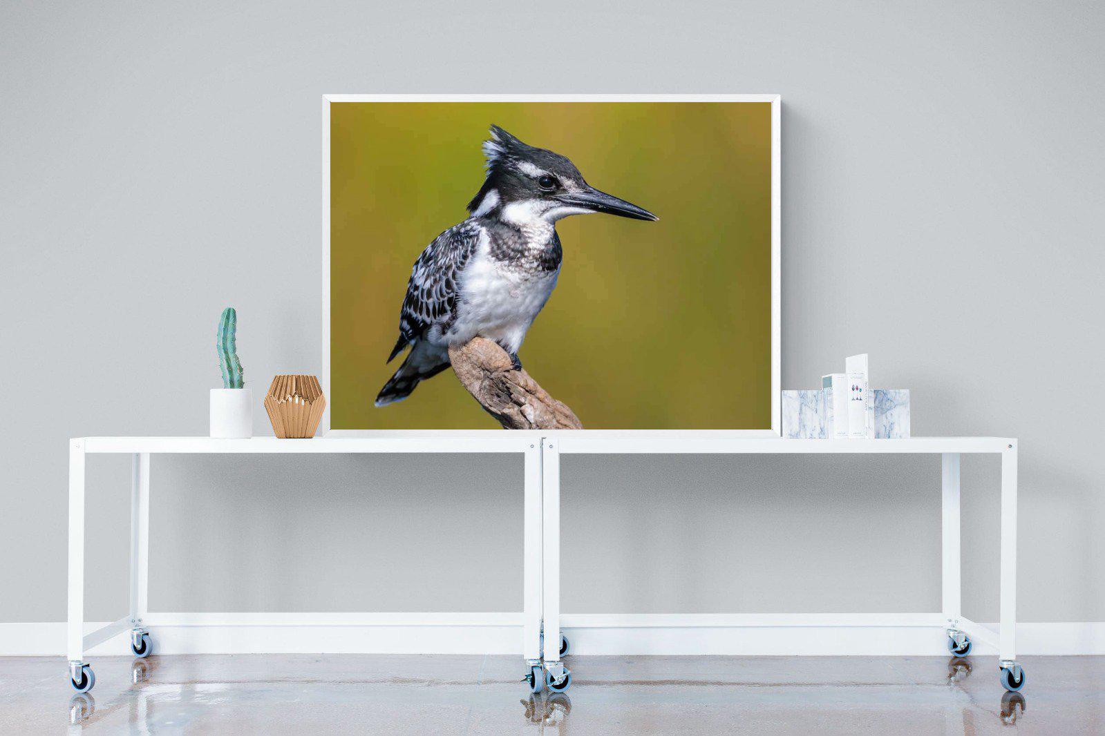 Pied Kingfisher-Wall_Art-120 x 90cm-Mounted Canvas-White-Pixalot
