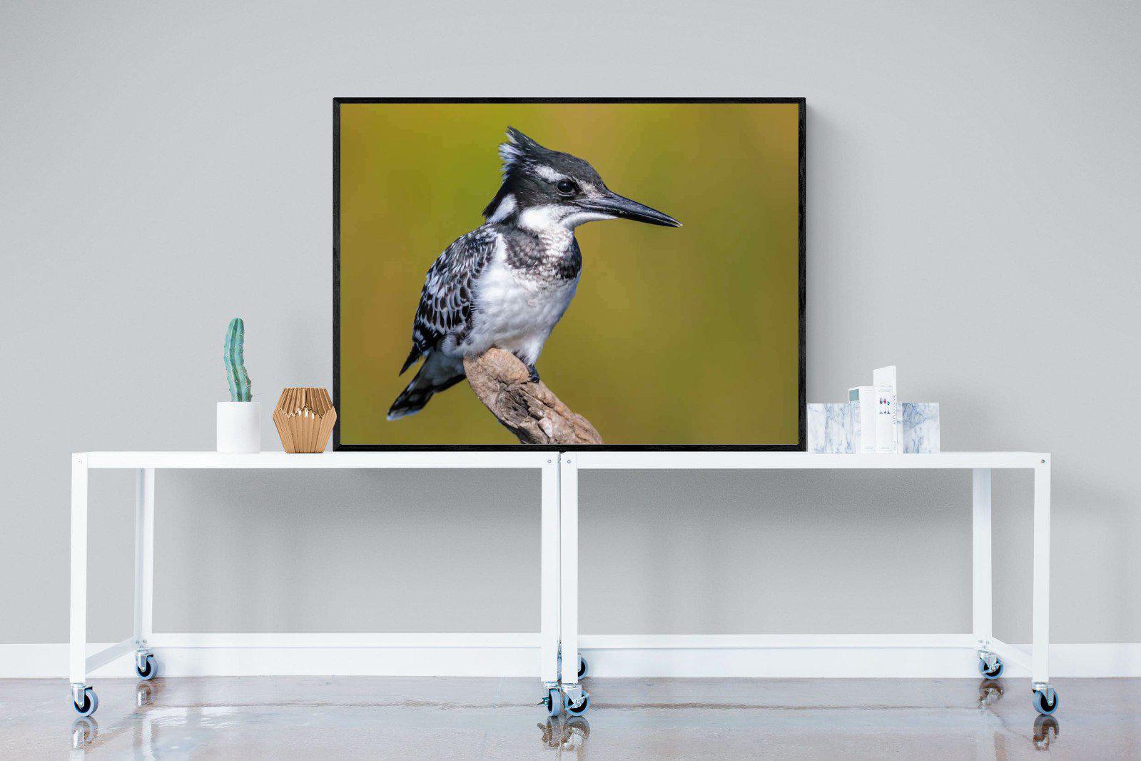 Pied Kingfisher-Wall_Art-120 x 90cm-Mounted Canvas-Black-Pixalot