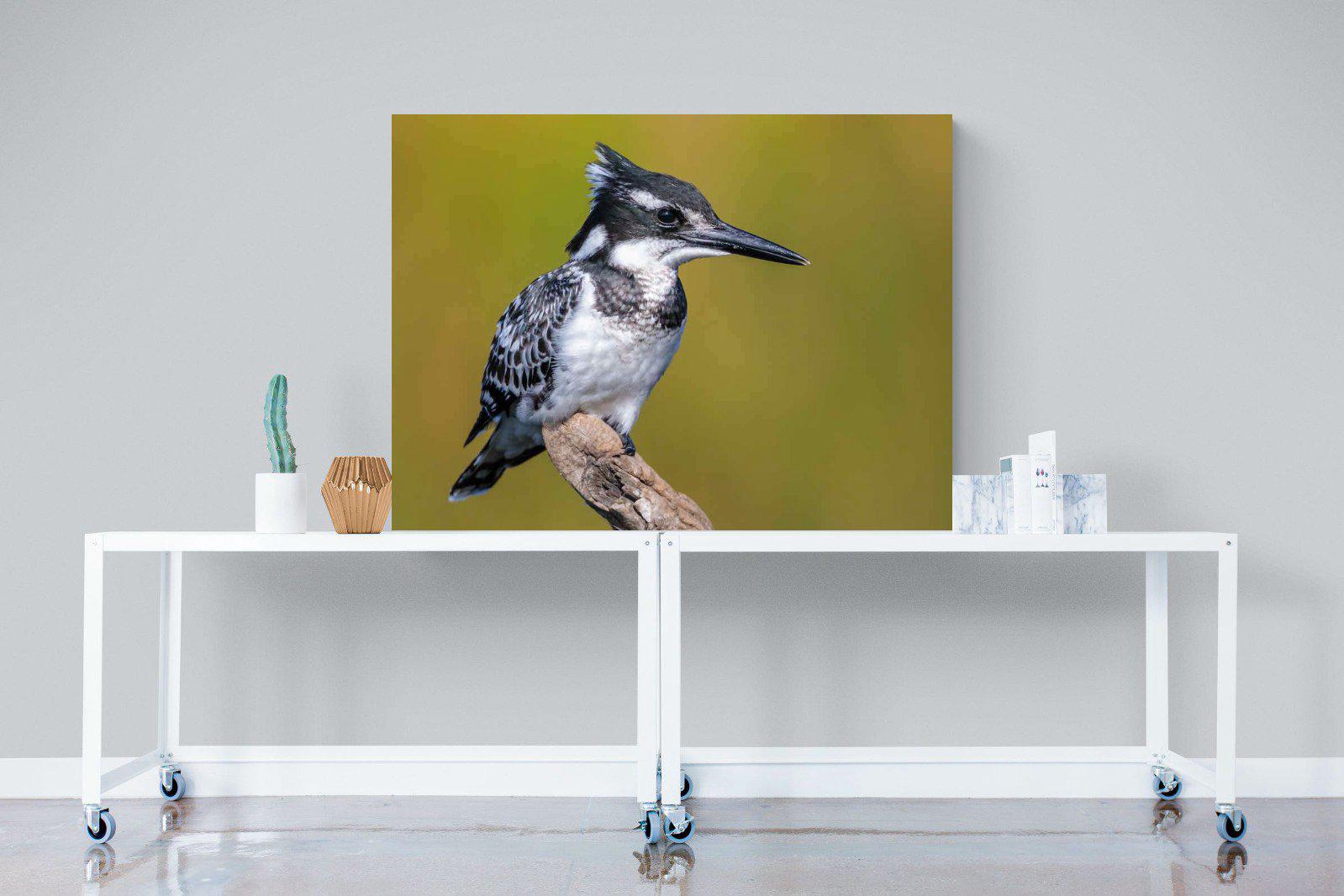 Pied Kingfisher-Wall_Art-120 x 90cm-Mounted Canvas-No Frame-Pixalot