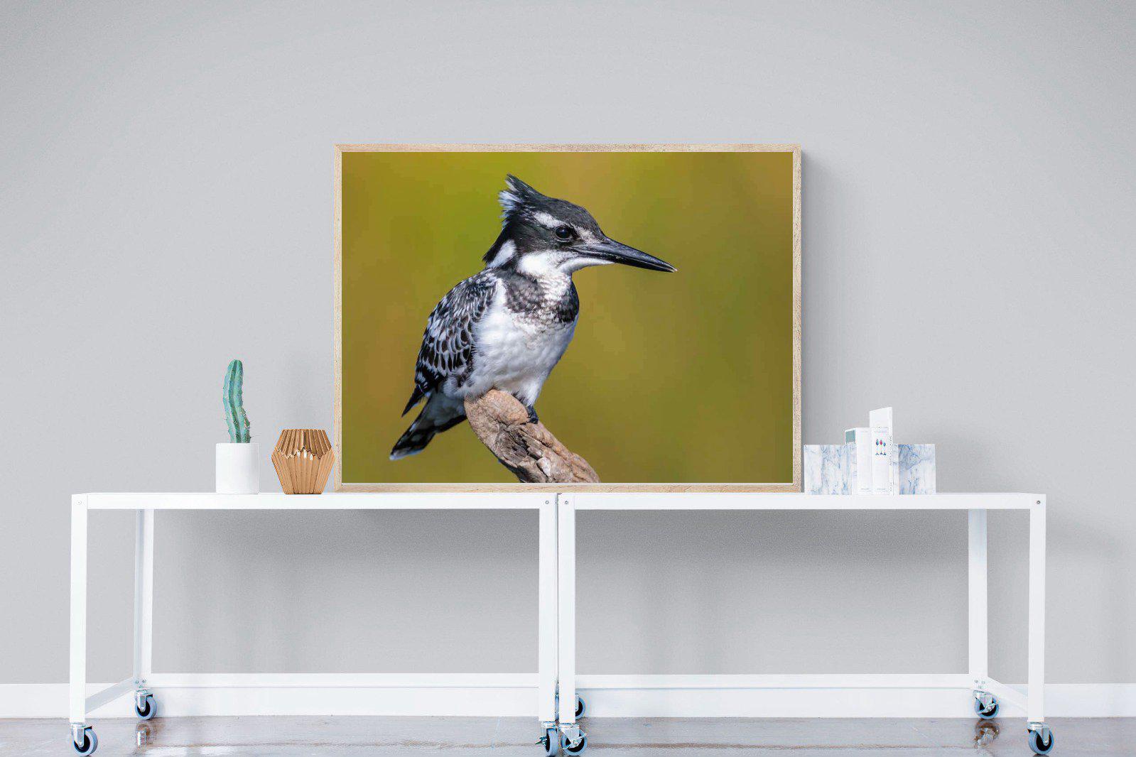 Pied Kingfisher-Wall_Art-120 x 90cm-Mounted Canvas-Wood-Pixalot