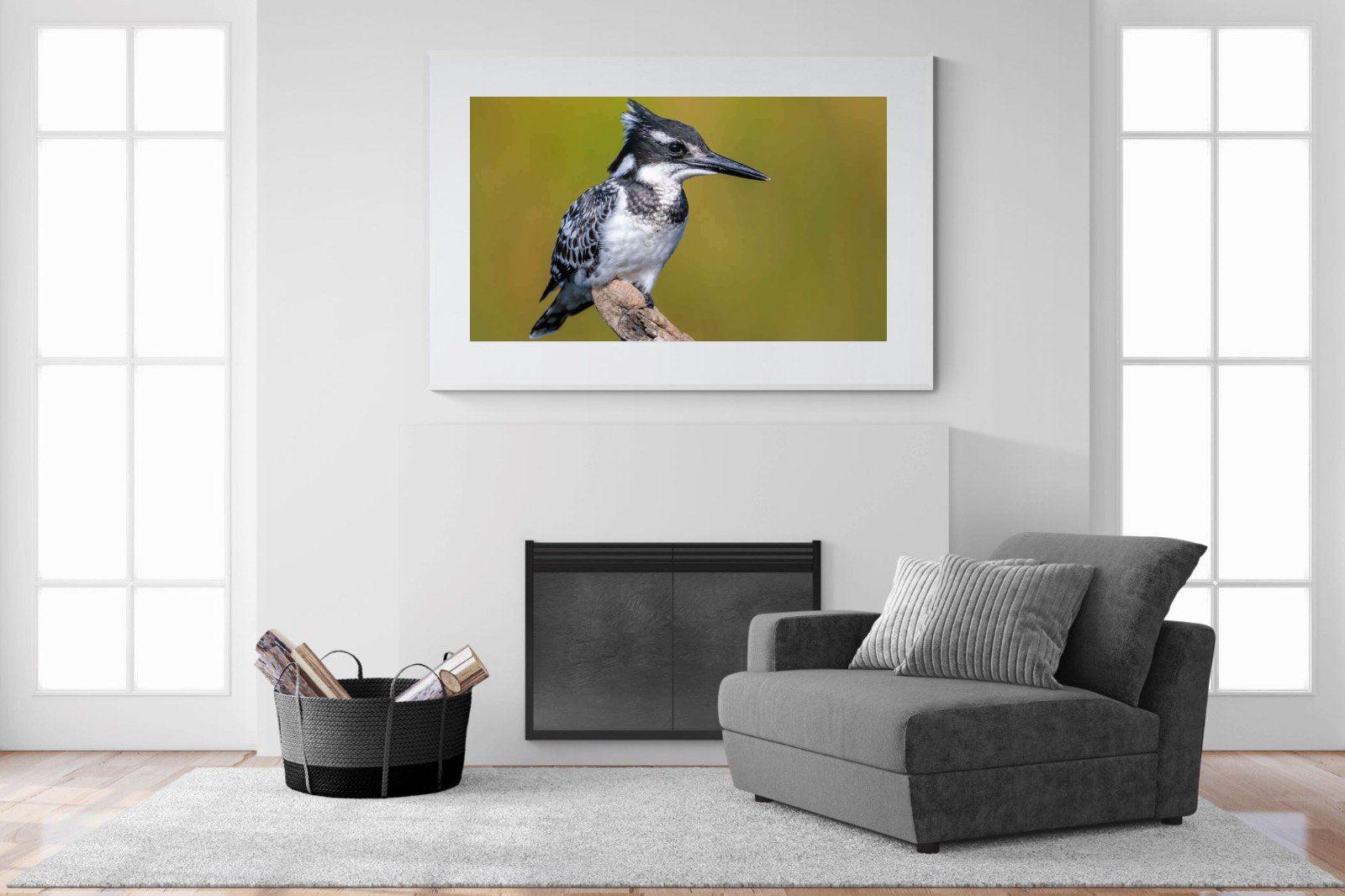 Pied Kingfisher-Wall_Art-150 x 100cm-Framed Print-White-Pixalot