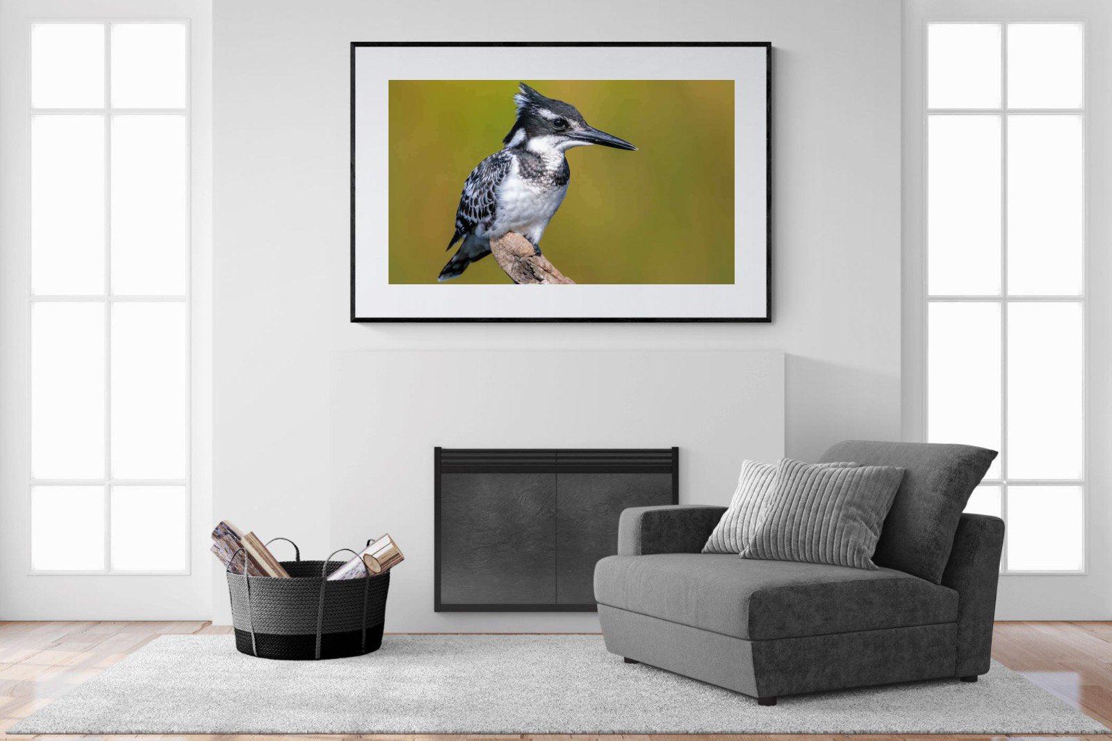 Pied Kingfisher-Wall_Art-150 x 100cm-Framed Print-Black-Pixalot