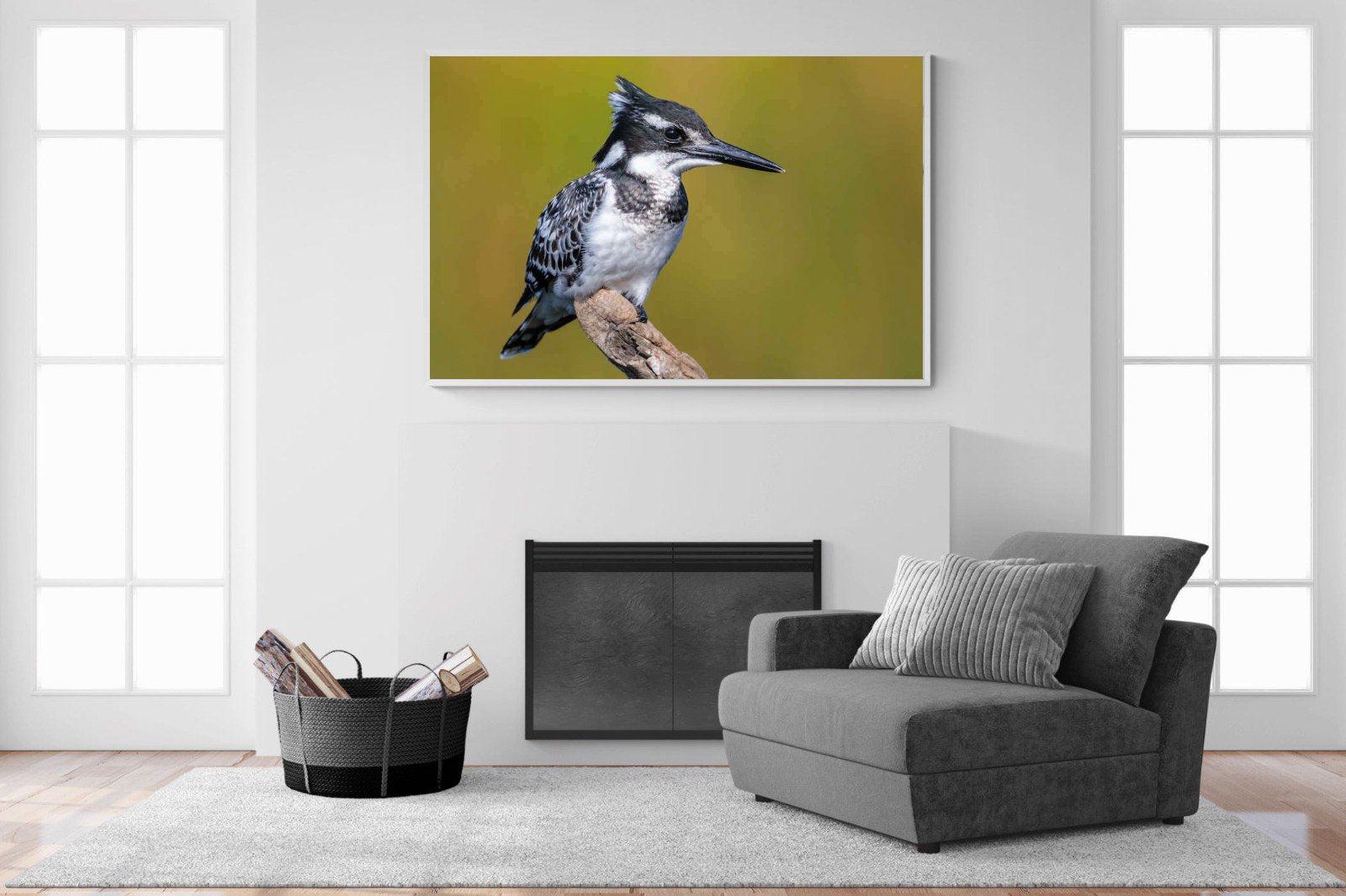 Pied Kingfisher-Wall_Art-150 x 100cm-Mounted Canvas-White-Pixalot
