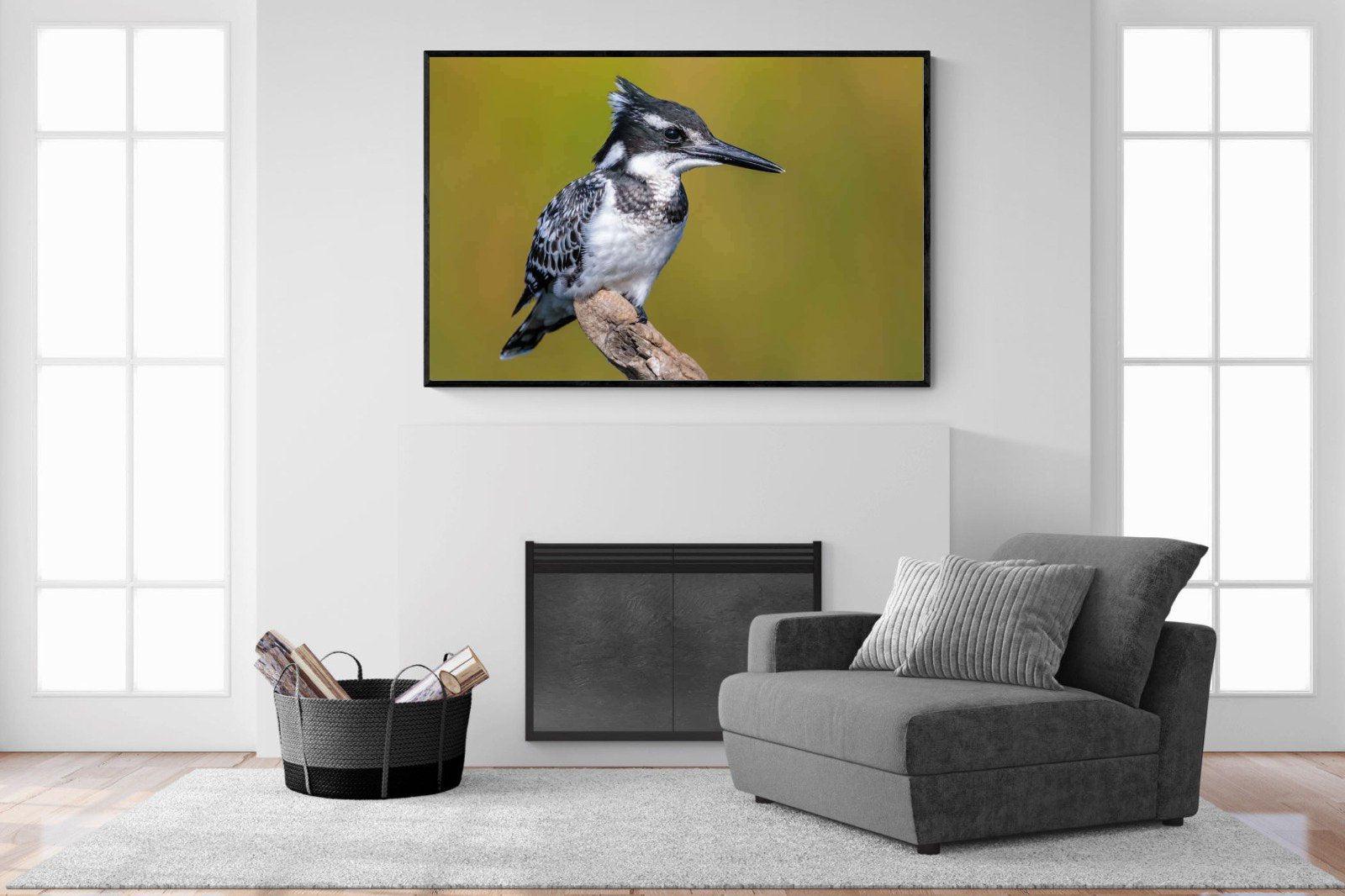 Pied Kingfisher-Wall_Art-150 x 100cm-Mounted Canvas-Black-Pixalot