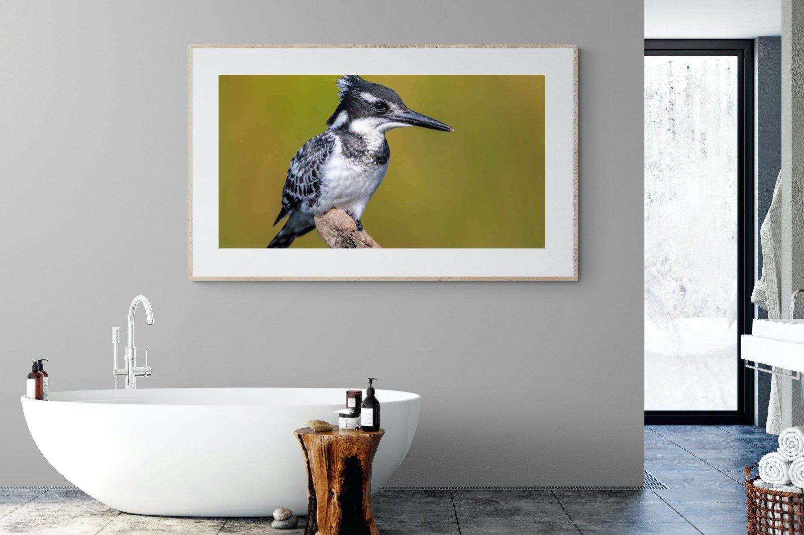 Pied Kingfisher-Wall_Art-180 x 110cm-Framed Print-Wood-Pixalot