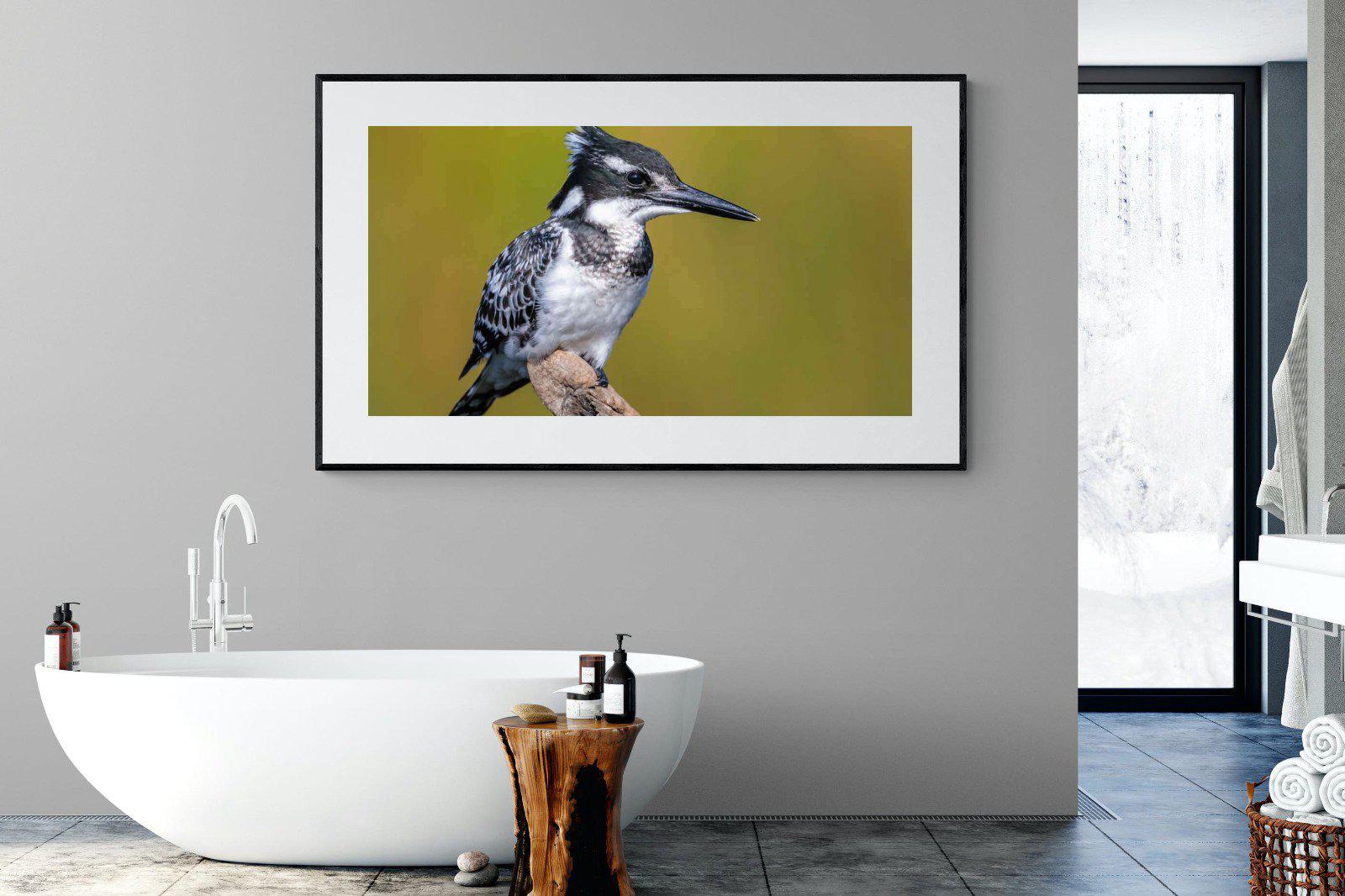 Pied Kingfisher-Wall_Art-180 x 110cm-Framed Print-Black-Pixalot