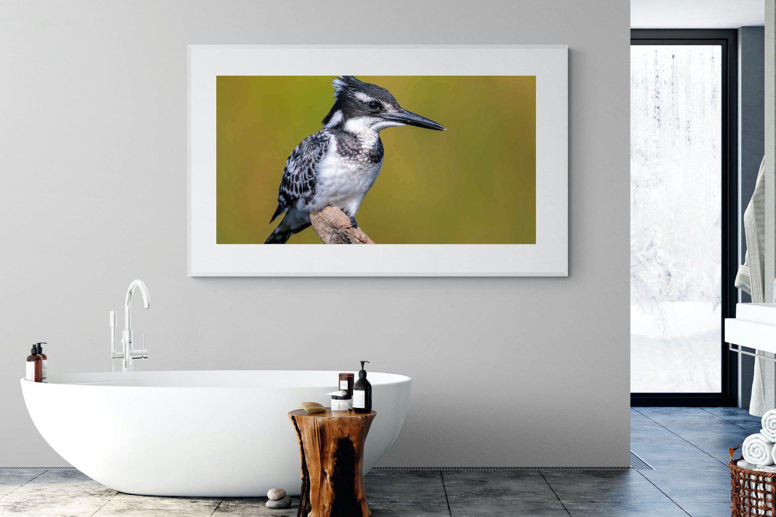 Pied Kingfisher-Wall_Art-180 x 110cm-Framed Print-White-Pixalot