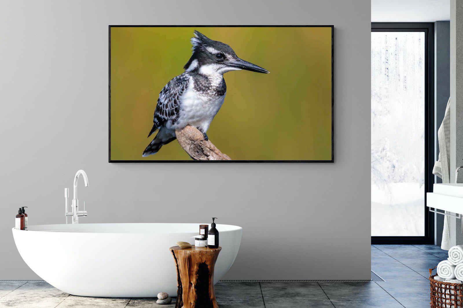 Pied Kingfisher-Wall_Art-180 x 110cm-Mounted Canvas-Black-Pixalot