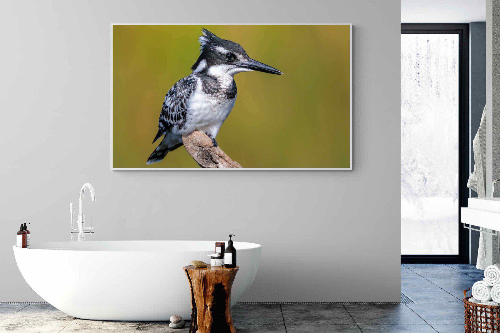 Pied Kingfisher-Wall_Art-180 x 110cm-Mounted Canvas-White-Pixalot