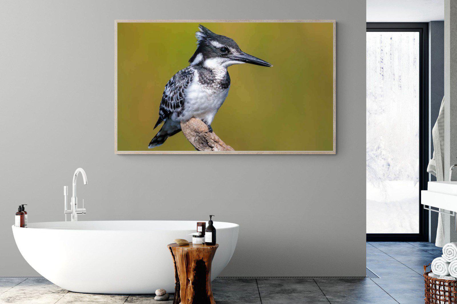 Pied Kingfisher-Wall_Art-180 x 110cm-Mounted Canvas-Wood-Pixalot