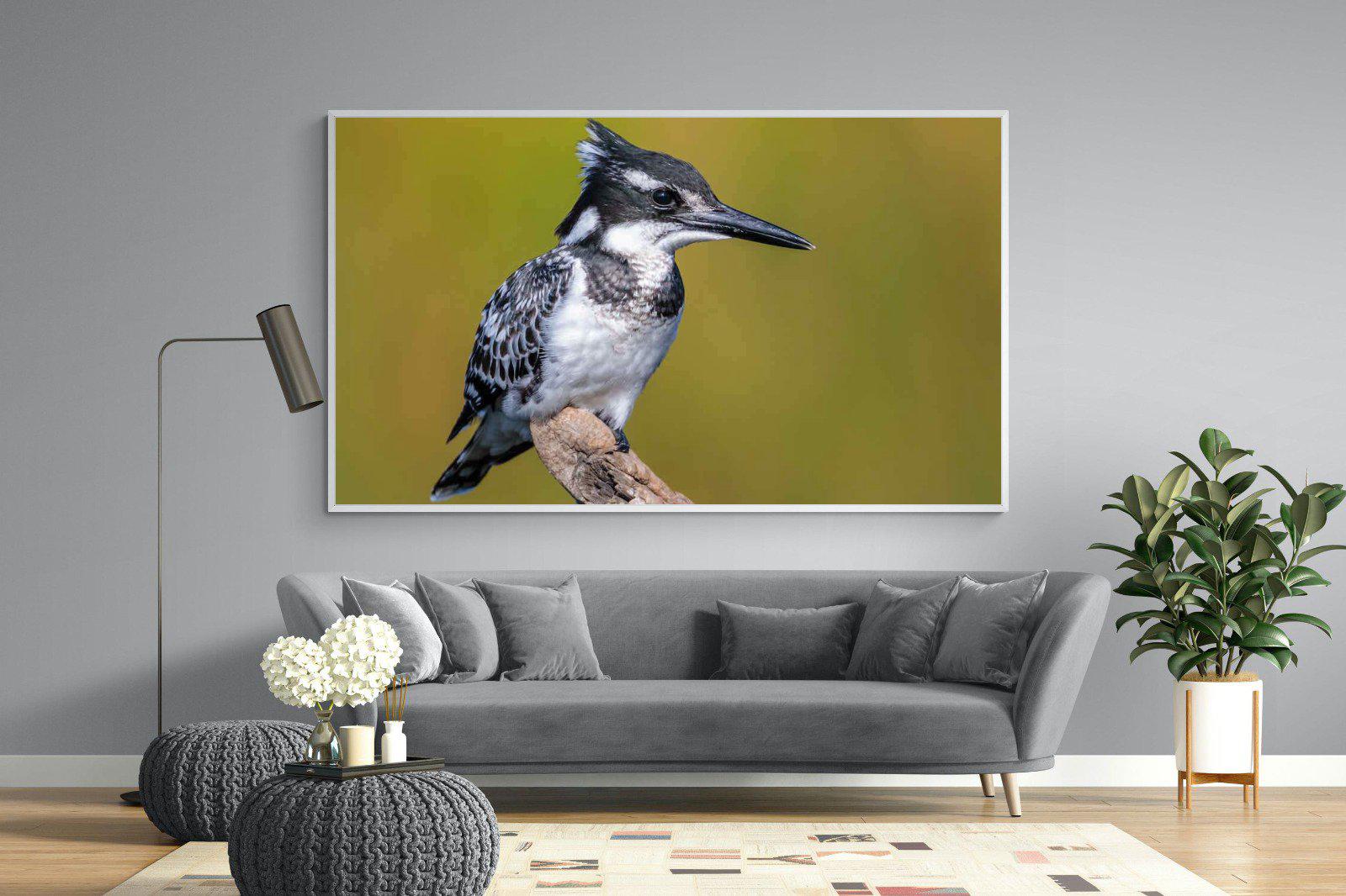Pied Kingfisher-Wall_Art-220 x 130cm-Mounted Canvas-White-Pixalot