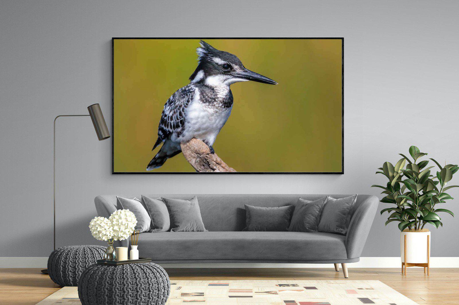 Pied Kingfisher-Wall_Art-220 x 130cm-Mounted Canvas-Black-Pixalot