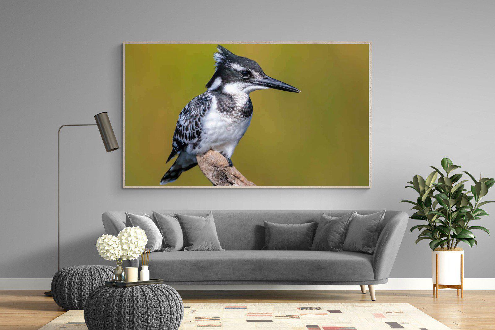 Pied Kingfisher-Wall_Art-220 x 130cm-Mounted Canvas-Wood-Pixalot