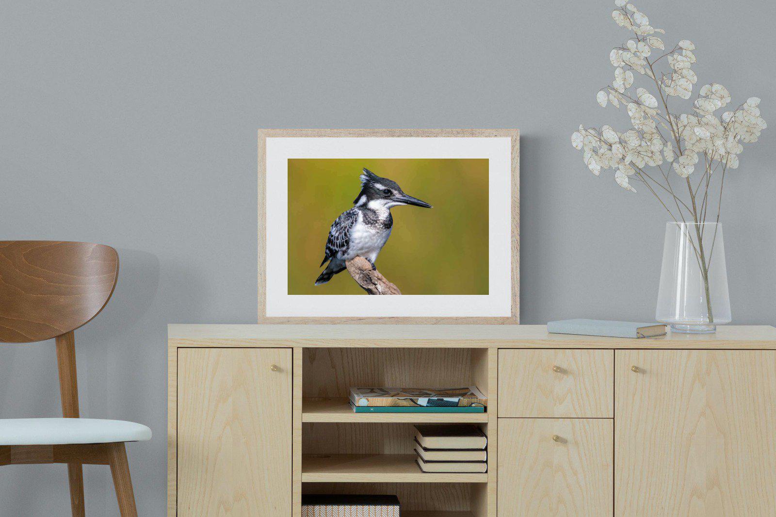 Pied Kingfisher-Wall_Art-60 x 45cm-Framed Print-Wood-Pixalot