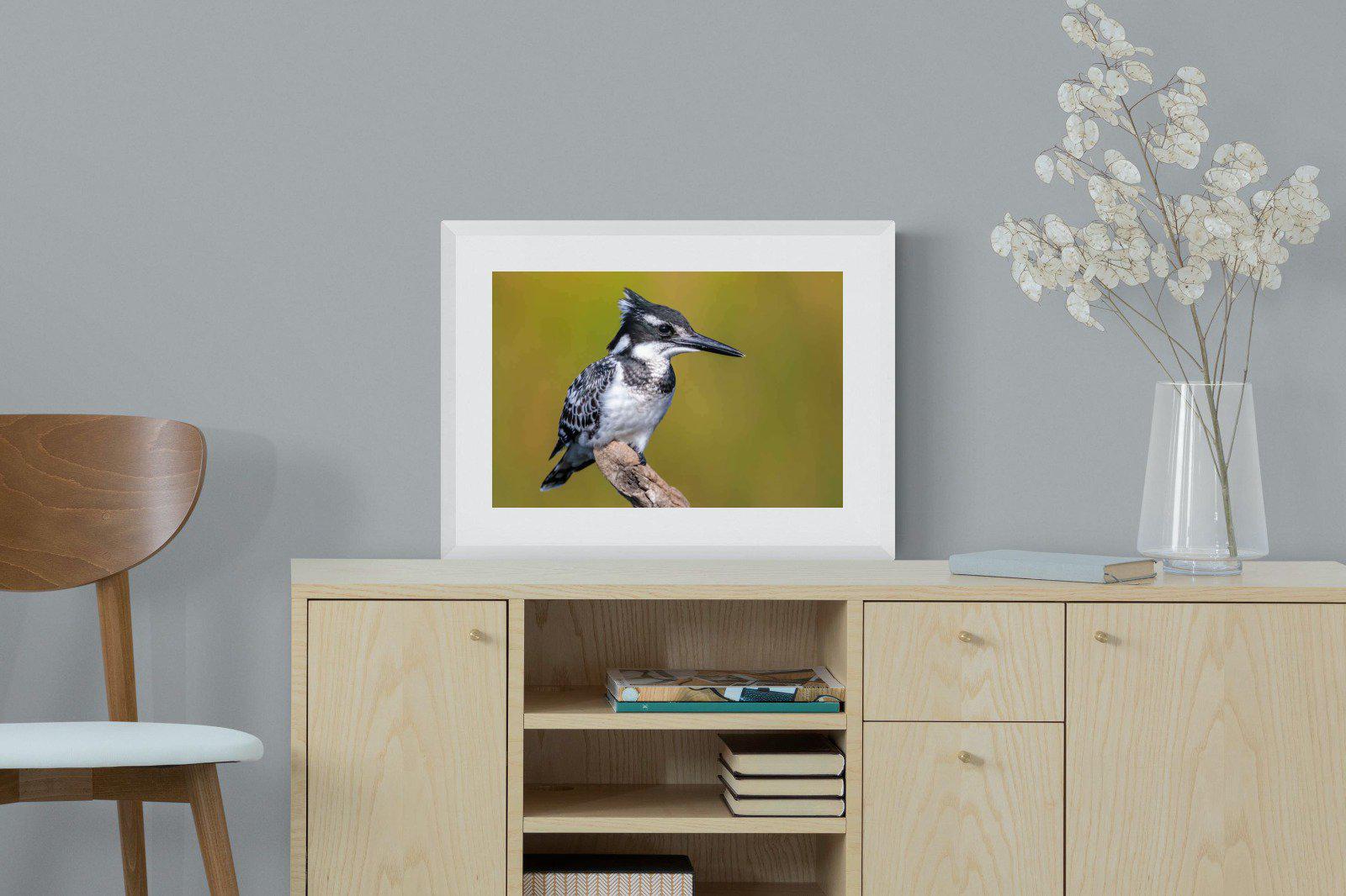 Pied Kingfisher-Wall_Art-60 x 45cm-Framed Print-White-Pixalot