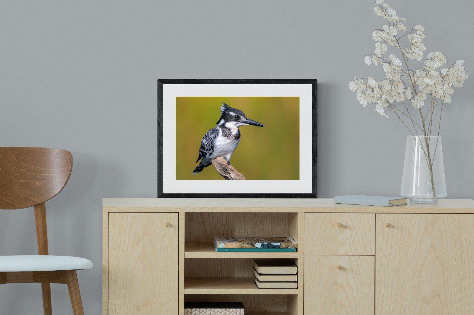 Pied Kingfisher-Wall_Art-60 x 45cm-Framed Print-Black-Pixalot
