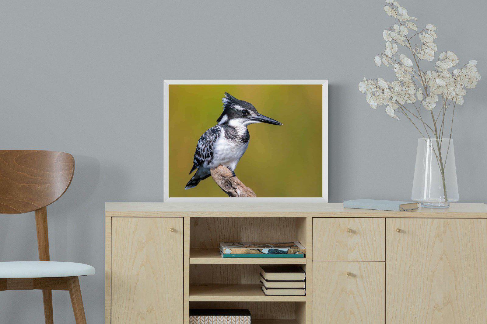 Pied Kingfisher-Wall_Art-60 x 45cm-Mounted Canvas-White-Pixalot