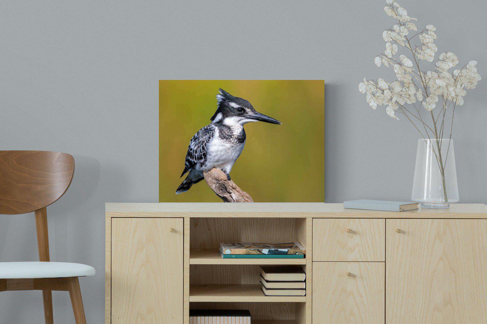 Pied Kingfisher-Wall_Art-60 x 45cm-Mounted Canvas-No Frame-Pixalot
