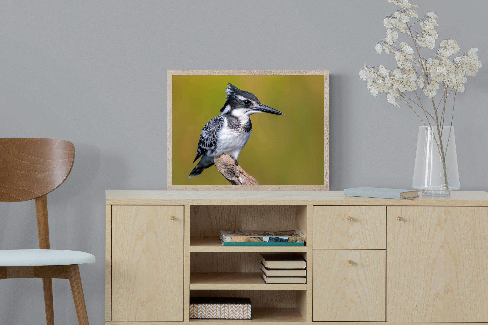 Pied Kingfisher-Wall_Art-60 x 45cm-Mounted Canvas-Wood-Pixalot
