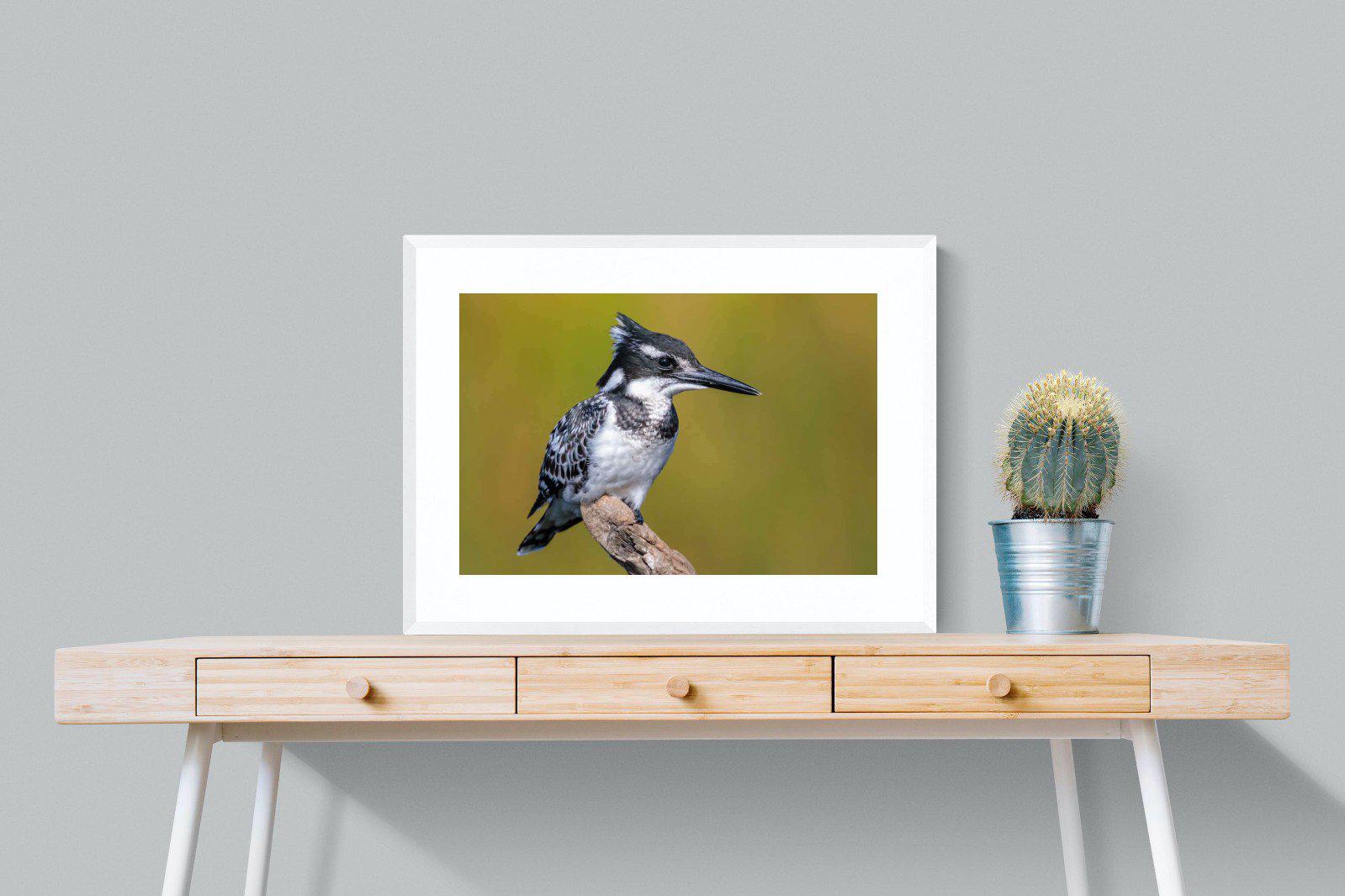 Pied Kingfisher-Wall_Art-80 x 60cm-Framed Print-White-Pixalot