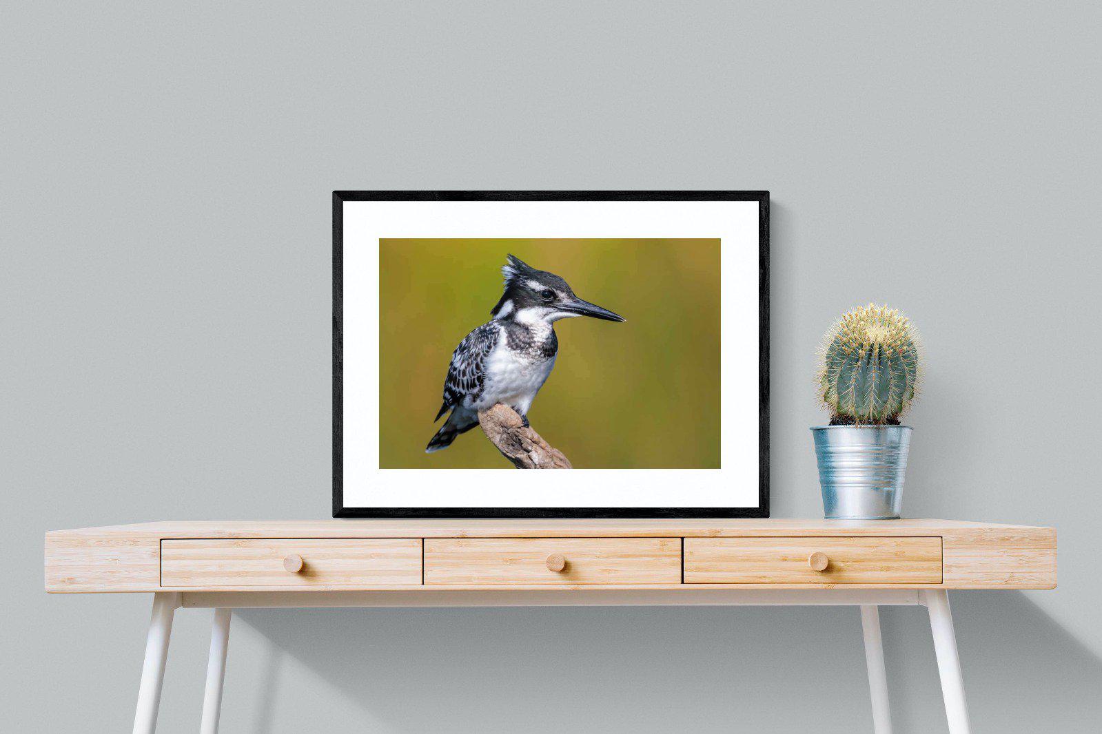 Pied Kingfisher-Wall_Art-80 x 60cm-Framed Print-Black-Pixalot
