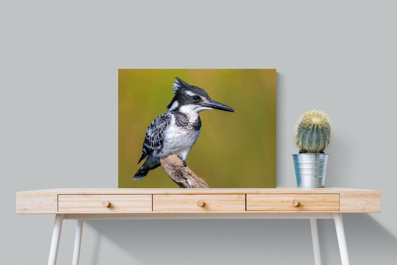 Pied Kingfisher-Wall_Art-80 x 60cm-Mounted Canvas-No Frame-Pixalot