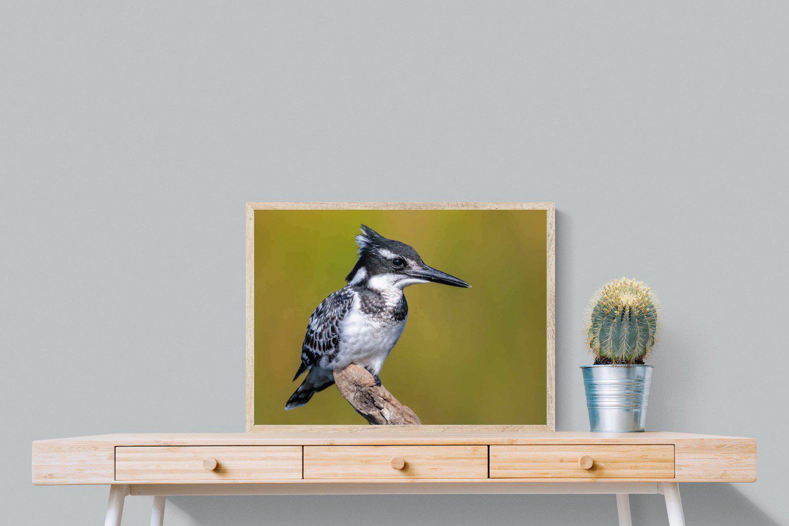 Pied Kingfisher-Wall_Art-80 x 60cm-Mounted Canvas-Wood-Pixalot