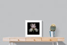 Pink Iris-Wall_Art-50 x 50cm-Framed Print-White-Pixalot
