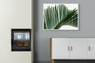 Pointy Frond-Wall_Art-100 x 75cm-Mounted Canvas-White-Pixalot