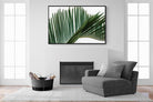 Pointy Frond-Wall_Art-150 x 100cm-Mounted Canvas-Black-Pixalot