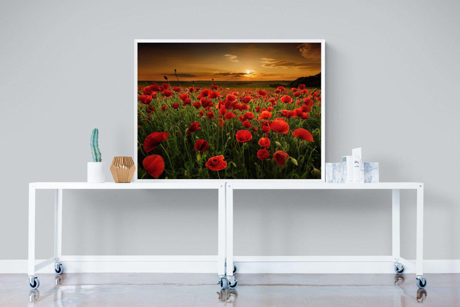 Poppy Fields-Wall_Art-120 x 90cm-Mounted Canvas-White-Pixalot