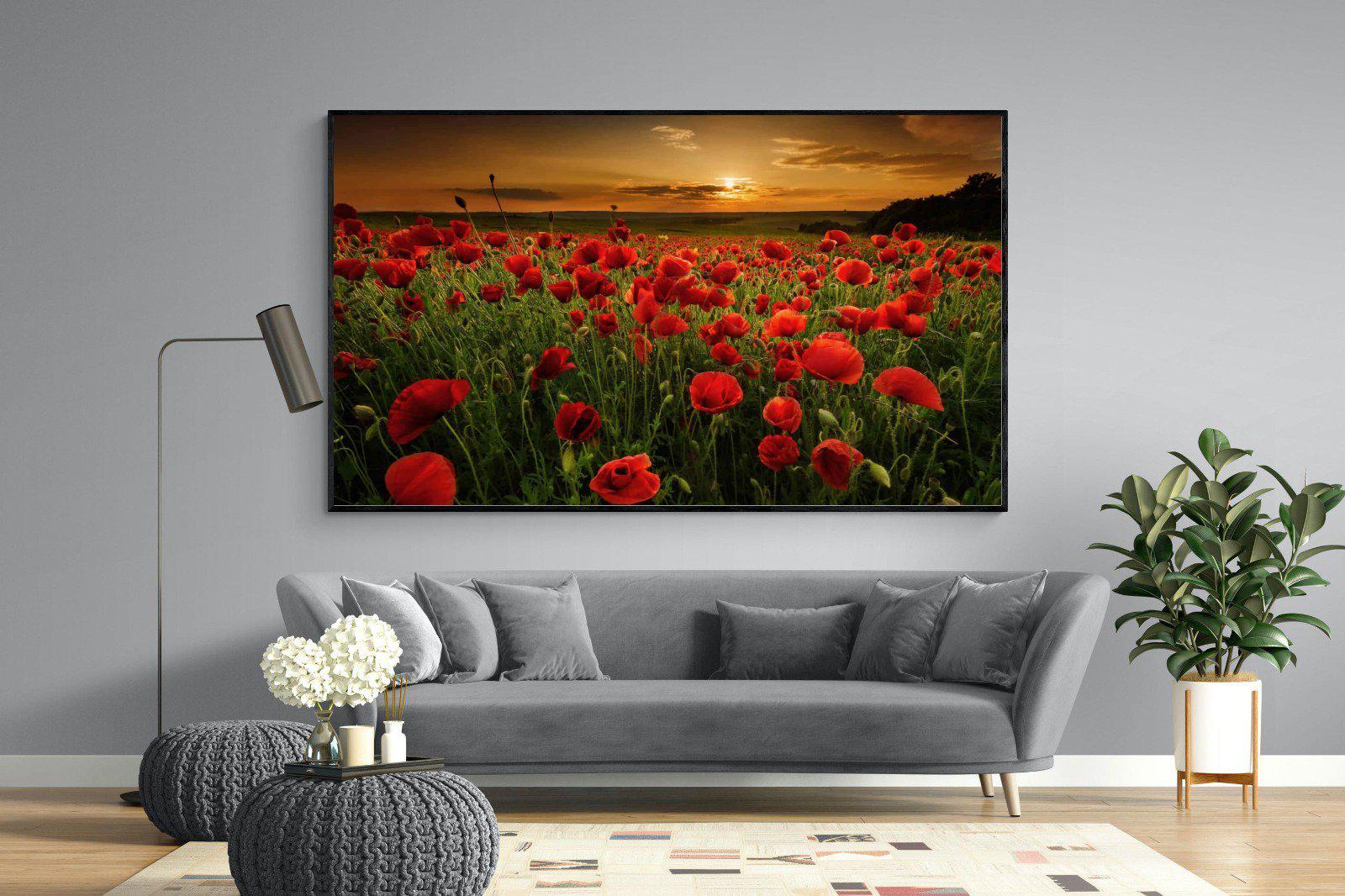 Poppy Fields-Wall_Art-220 x 130cm-Mounted Canvas-Black-Pixalot
