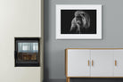 Prince of the Jungle-Wall_Art-100 x 75cm-Framed Print-White-Pixalot