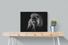 Prince of the Jungle-Wall_Art-80 x 60cm-Mounted Canvas-Black-Pixalot