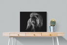 Prince of the Jungle-Wall_Art-80 x 60cm-Mounted Canvas-No Frame-Pixalot