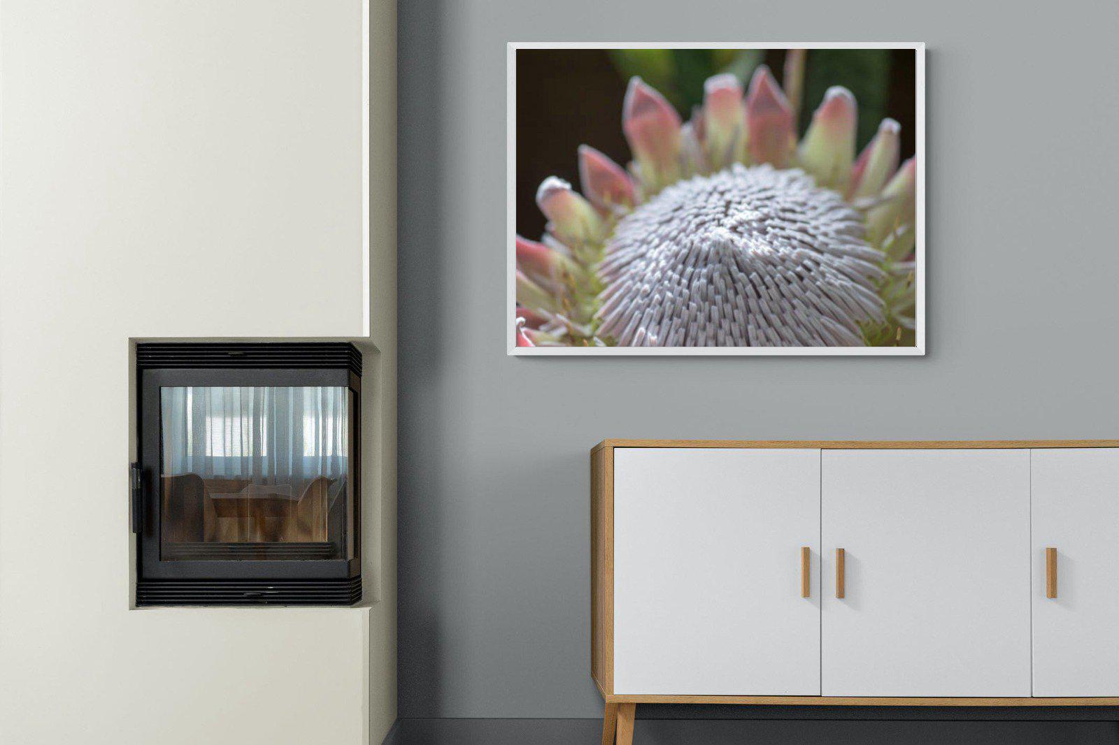 Protea Bloom-Wall_Art-100 x 75cm-Mounted Canvas-White-Pixalot