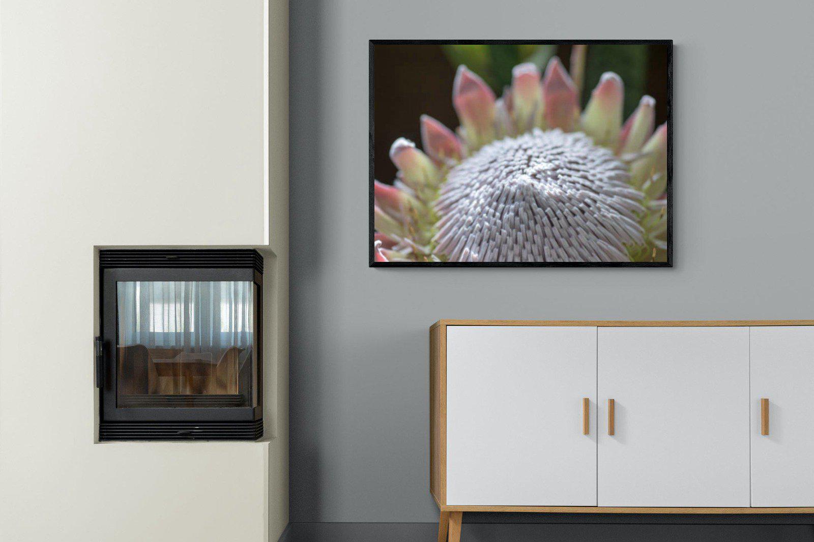 Protea Bloom-Wall_Art-100 x 75cm-Mounted Canvas-Black-Pixalot