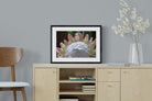 Protea Bloom-Wall_Art-60 x 45cm-Framed Print-Black-Pixalot