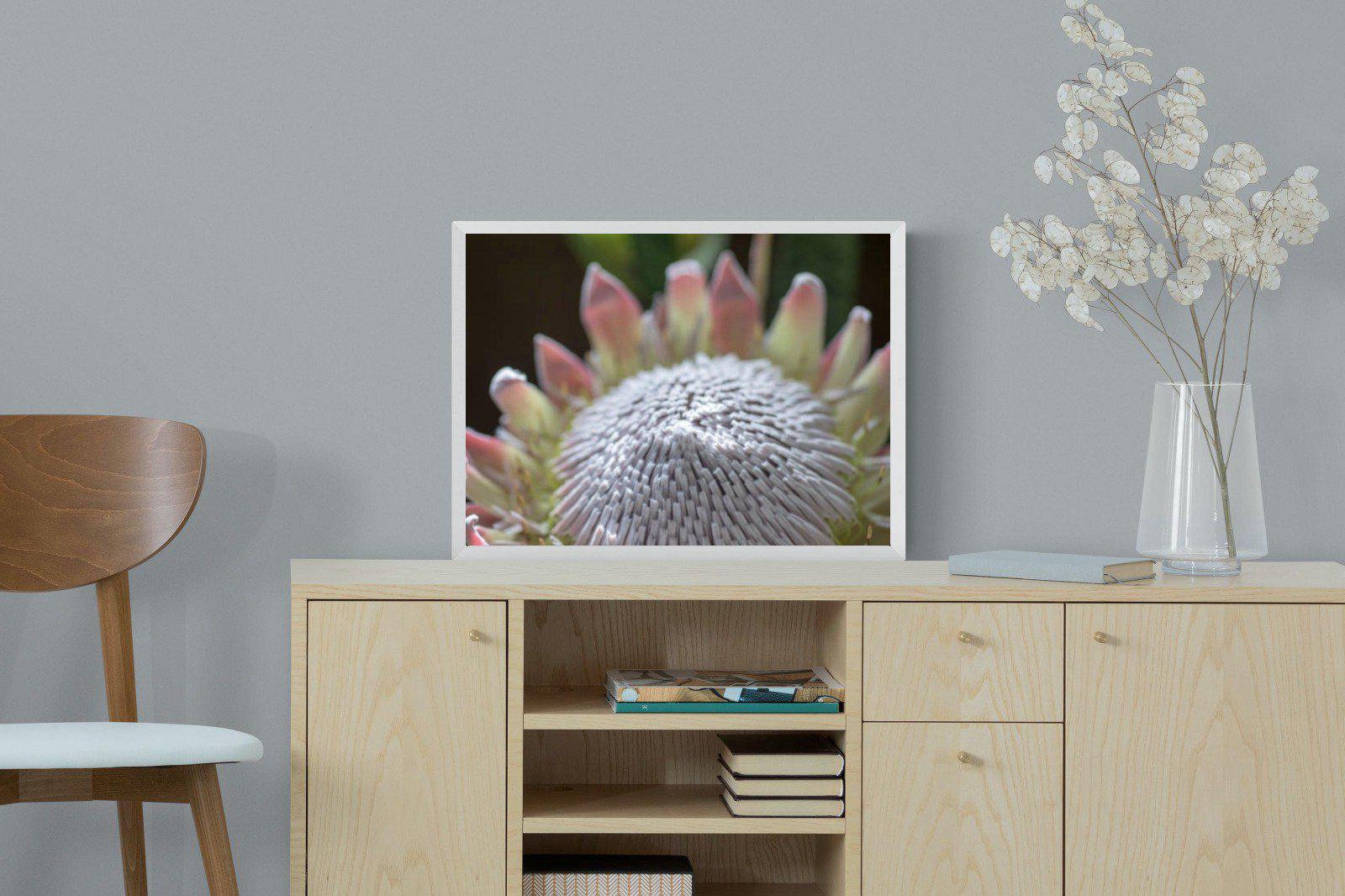 Protea Bloom-Wall_Art-60 x 45cm-Mounted Canvas-White-Pixalot