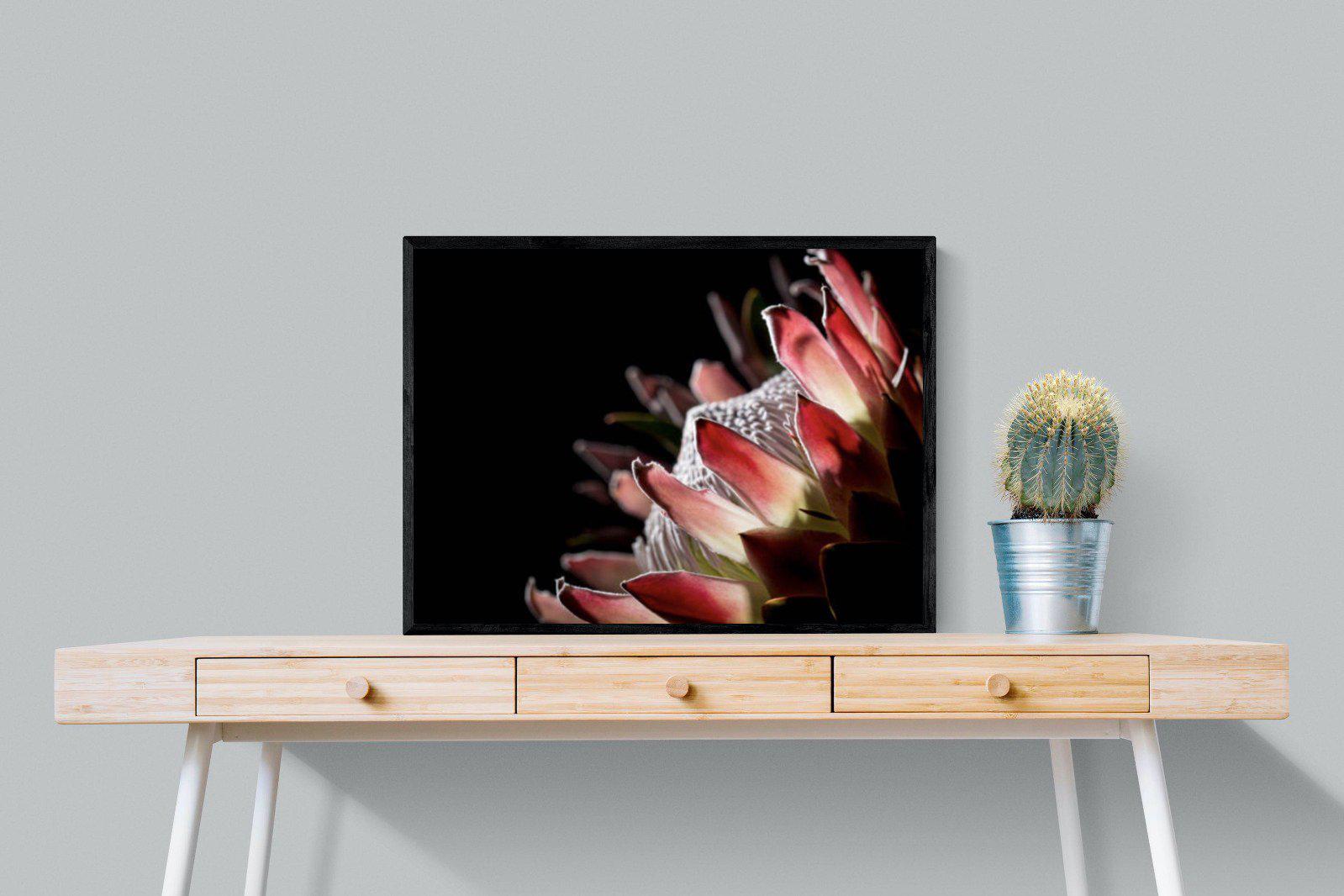 Protea-Wall_Art-80 x 60cm-Mounted Canvas-Black-Pixalot