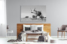 Proud Nguni-Wall_Art-150 x 100cm-Mounted Canvas-No Frame-Pixalot