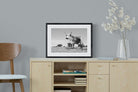 Proud Nguni-Wall_Art-60 x 45cm-Framed Print-Black-Pixalot